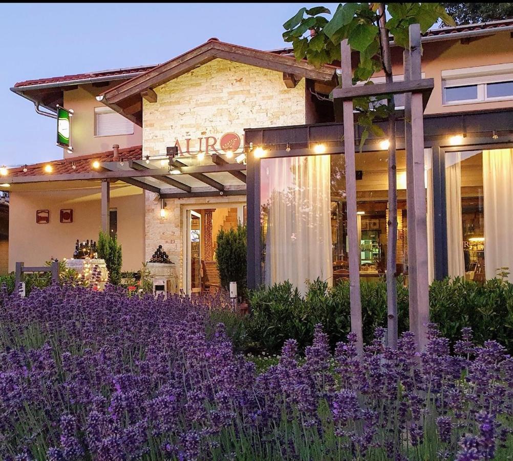 Bed and Breakfast Aurora Panzio Бюк Экстерьер фото